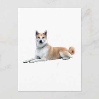 Cartão Postal Akita (Akita Inu) - Deitado