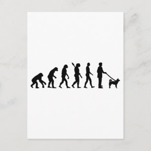 Cartão Postal Akita Evolution