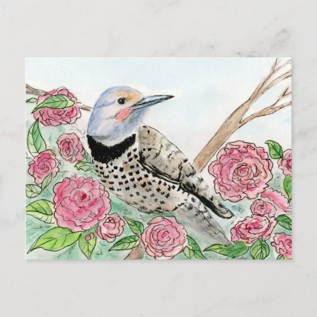 Cartão postal Alabama (Frente)