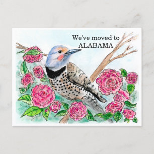 Cartão Postal Alabama