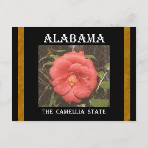 Cartão Postal Alabama Camellia (Vermelho)