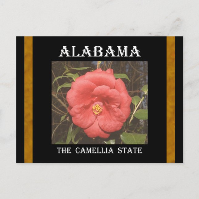 Cartão Postal Alabama Camellia (Vermelho) (Frente)