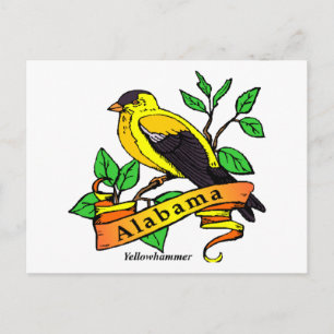 Cartão Postal Alabama State Bird