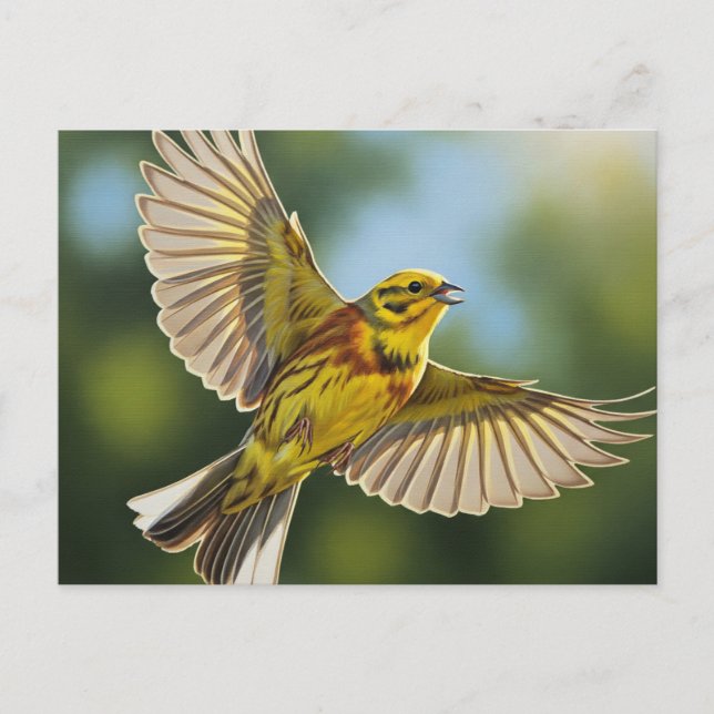 Cartão Postal Alabama State Bird Yellowhammer (Frente)