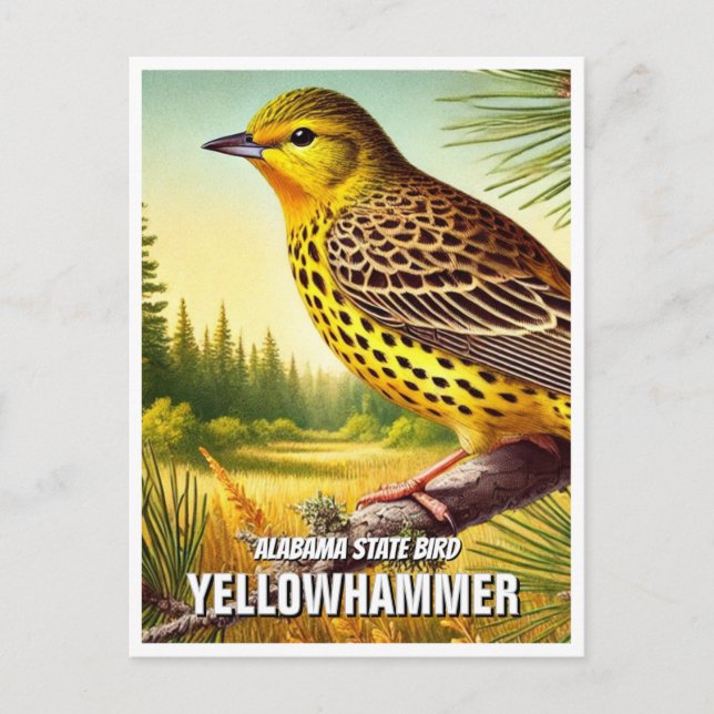 Cartão Postal Alabama State Bird Yellowhammer (Frente)
