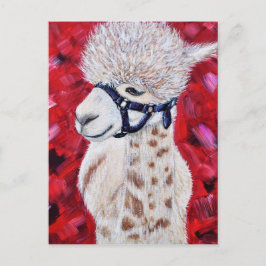 Cartão Postal Alan, a pintura do Alpaca