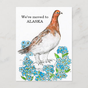 Cartão Postal Alasca