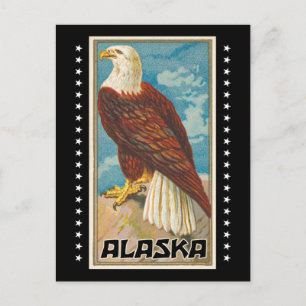 Cartão Postal Alasca - Águia Vintage Bald