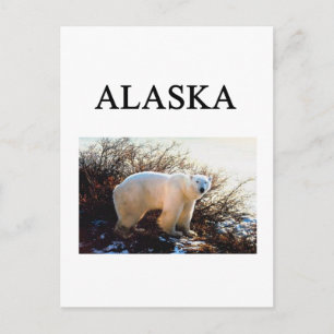 Cartão Postal alaska