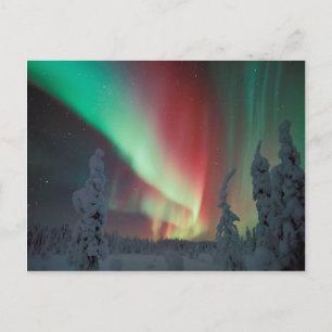 Cartão Postal Alaskan Aurora Borealis
