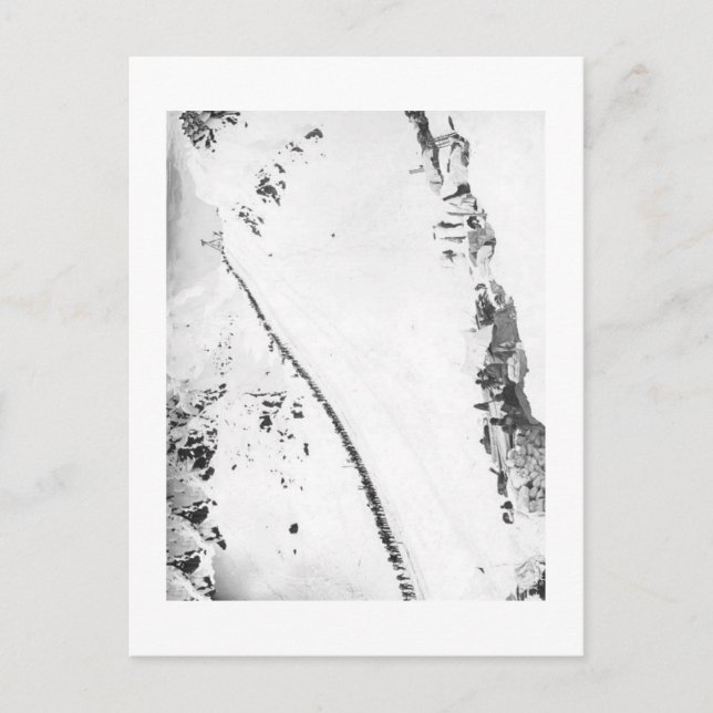 Cartão Postal Alaskan Klondikers (Frente)