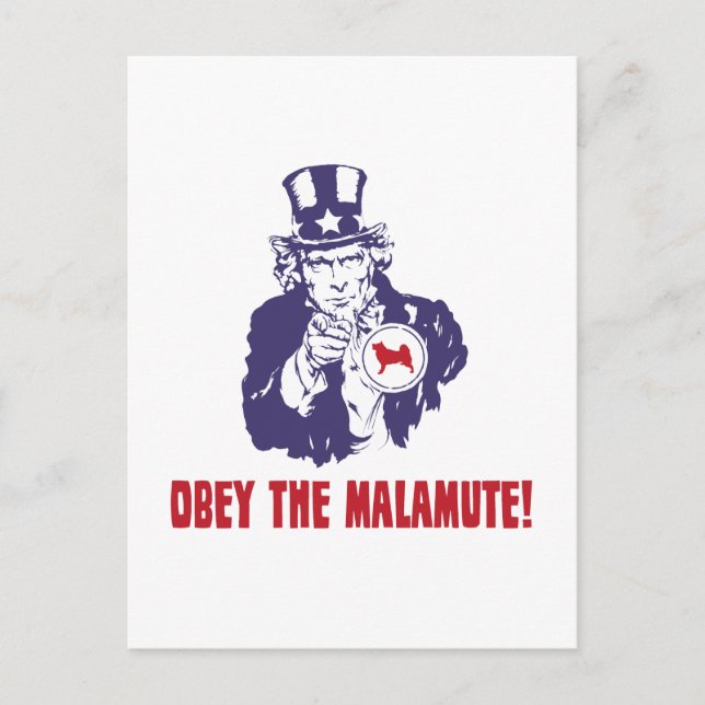 Cartão Postal Alaskan Malamute (Frente)