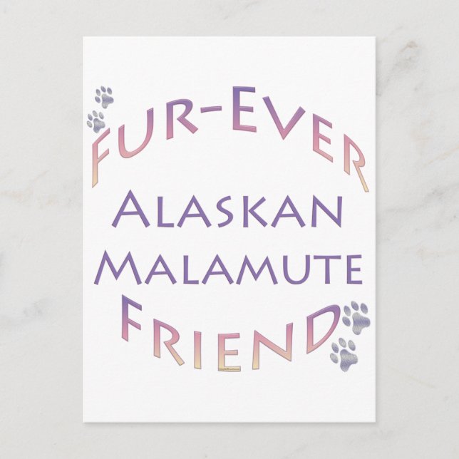 Cartão Postal Alaskan Malamute Fuore (Frente)