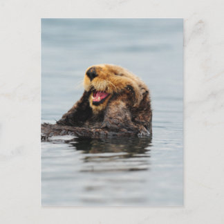 Cartão Postal Alaskan Sea Otter