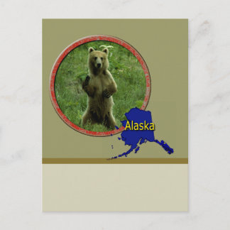 Cartão Postal Alaskan Wildlife