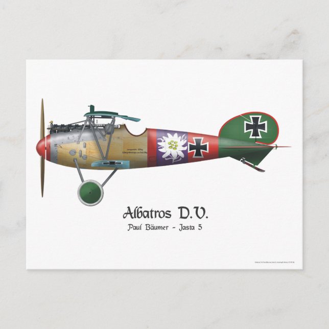 Cartão Postal Albatros D.V. ww1 Plano de Combatente alemão Bäume (Frente)