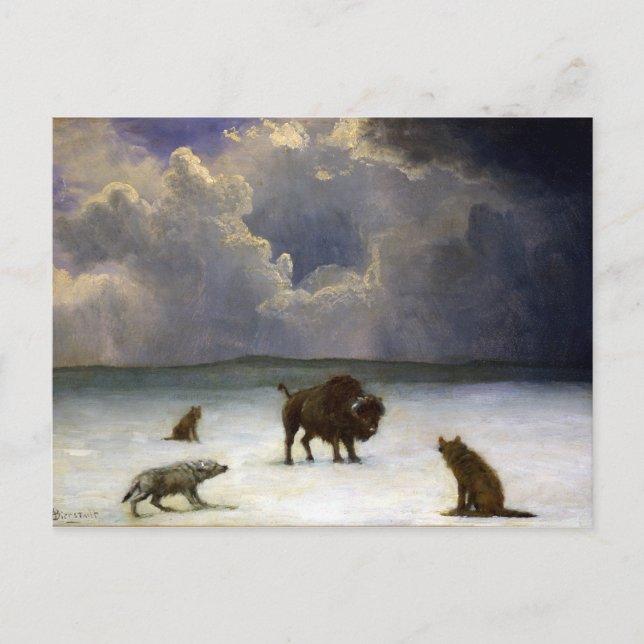 Cartão Postal Albert Bierstadt Trapped (Frente)