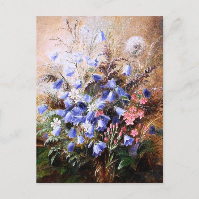 Cartão Postal Albert Dürer Lucas: Harebells e Centaury (Frente)