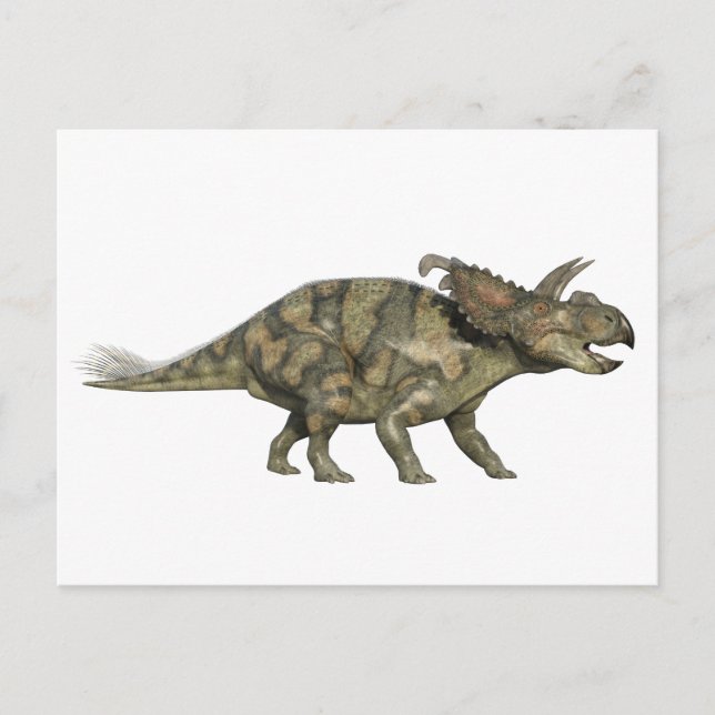 Cartão Postal Albertaceratops Dinosaur in Side Profile (Frente)