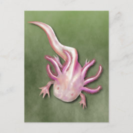 Cartão Postal Albino Axolotl "Peixe Andando" Art