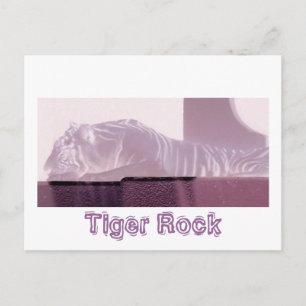 Cartão Postal Albino Tiger