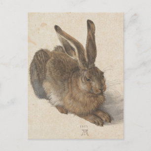 Cartão Postal Albrecht Dürer - Lebre