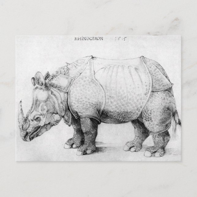 Cartão postal Albrecht Durer Rhinoceros (Frente)