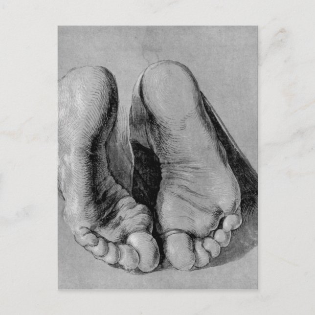 Cartão Postal Albrecht Durer Sketch (Frente)