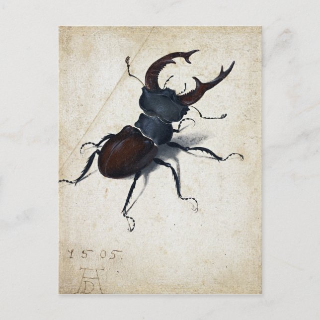Cartão Postal Albrecht Dürer Stag Beetle (Frente)