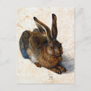 Cartão Postal Albrecht Dürer Young Hare