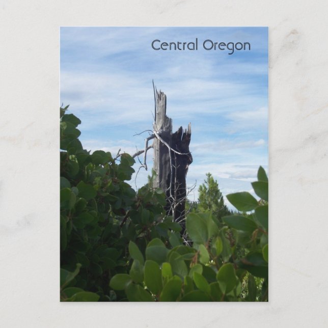 Cartão Postal alcance (Frente)