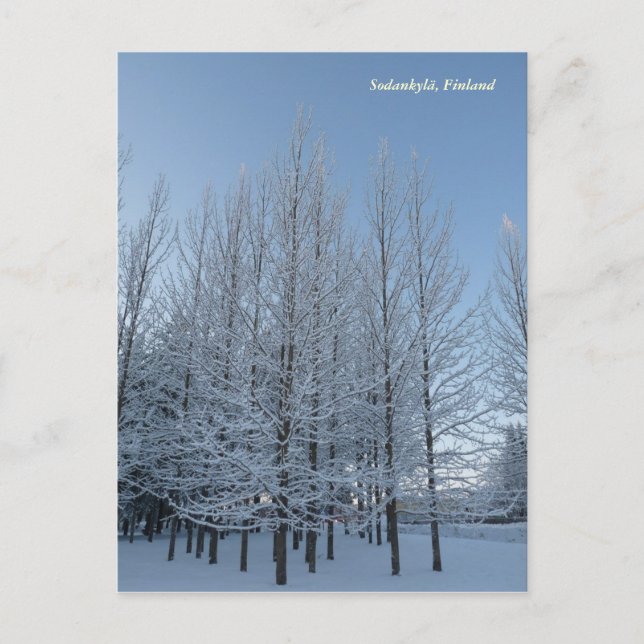 Cartão Postal Alcance para o céu (Frente)