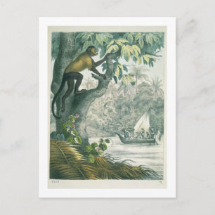 Cartão Postal Alcance superior da Amazônia, de 'Das Buch der We