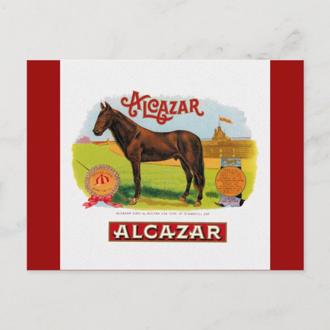 Cartão Postal Alcazar, o Cavalo Raça (Frente)
