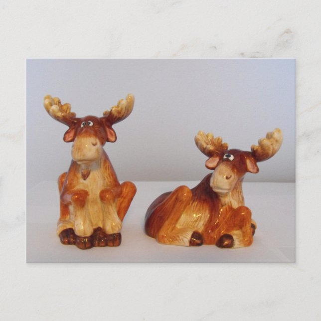Cartão Postal alce (Frente)