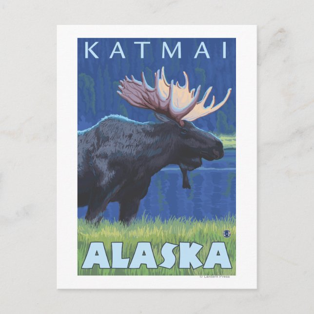 Cartão Postal Alce à noite - Katmai, Alaska (Frente)