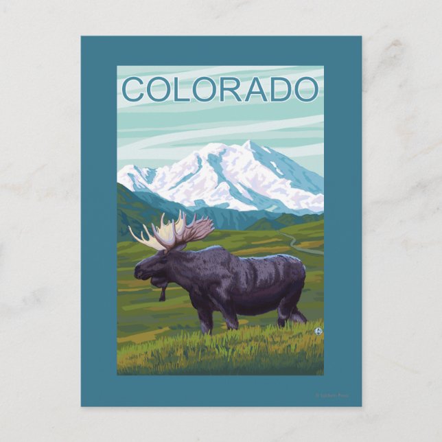 Cartão Postal Alce com MountainColorado (Frente)