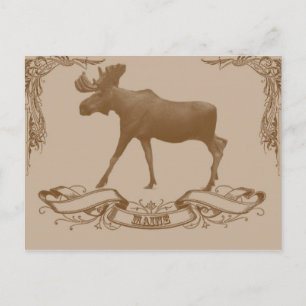 Cartão Postal alces maine