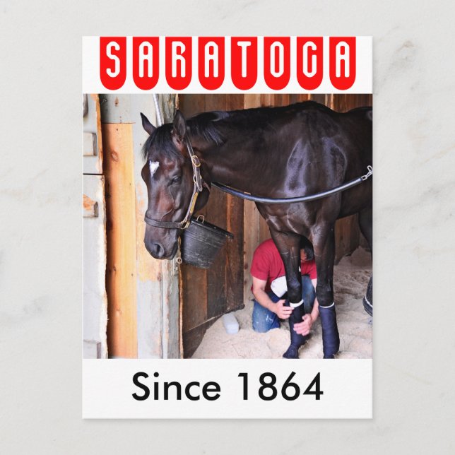 Cartão Postal Alcolite - Cavalo Haven Barns em Saratoga (Frente)