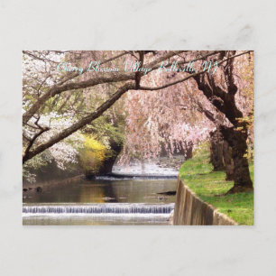Cartão Postal Aldeia Cherry Blossom 04