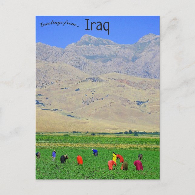 Cartão Postal aldeões curdos iraquianos no Iraque (Frente)