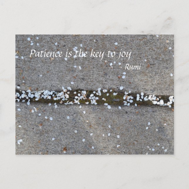 Cartão Postal Alegria de Rumi das pétalas do primavera (Frente)