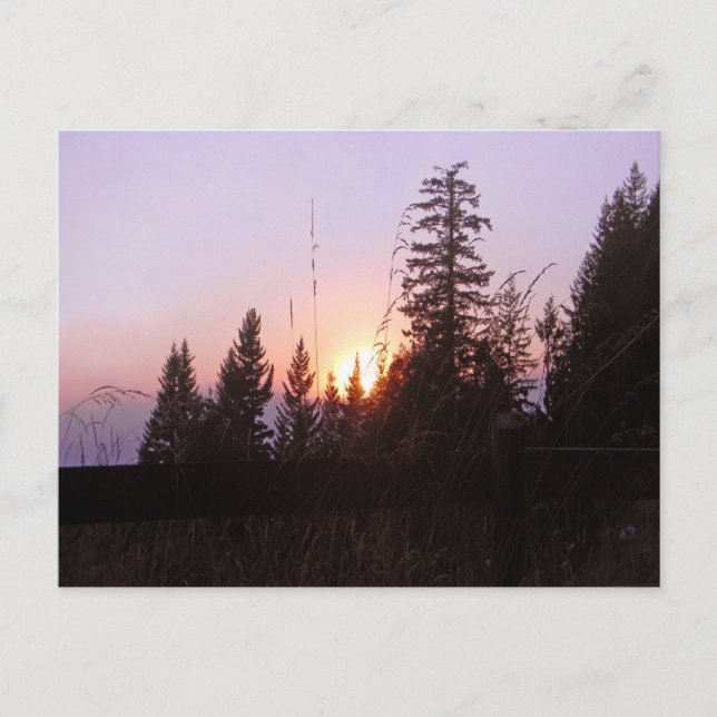 Cartão Postal Além das árvores......Postal (Frente)