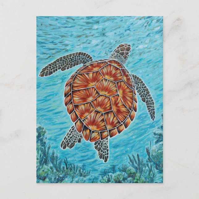 Cartão Postal Além do Recife (Frente)