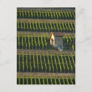 Cartão Postal Alemanha, França, Wertheim. Encosta especial 2