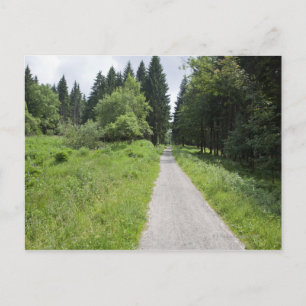 Cartão Postal Alemanha, Turíngia, caminho para a floresta