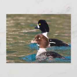 Cartão Postal Alerta Goldeneye