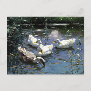 Cartão Postal Alexander Koester Quatro Patos no Pond