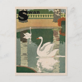 Cartão Postal Alfabeto Cisne Branco