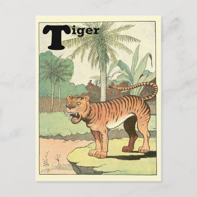 Cartão Postal Alfabeto de Animais da Selva Tigre (Frente)
